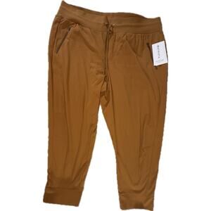 Athleta Trekkie North Jogger Pants Plus Size 22 PullOn Brown Stretch
